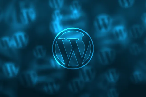 WordPress-Cosultation